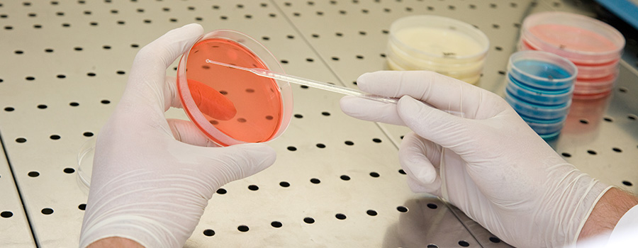 laboratorio-analisiIMG